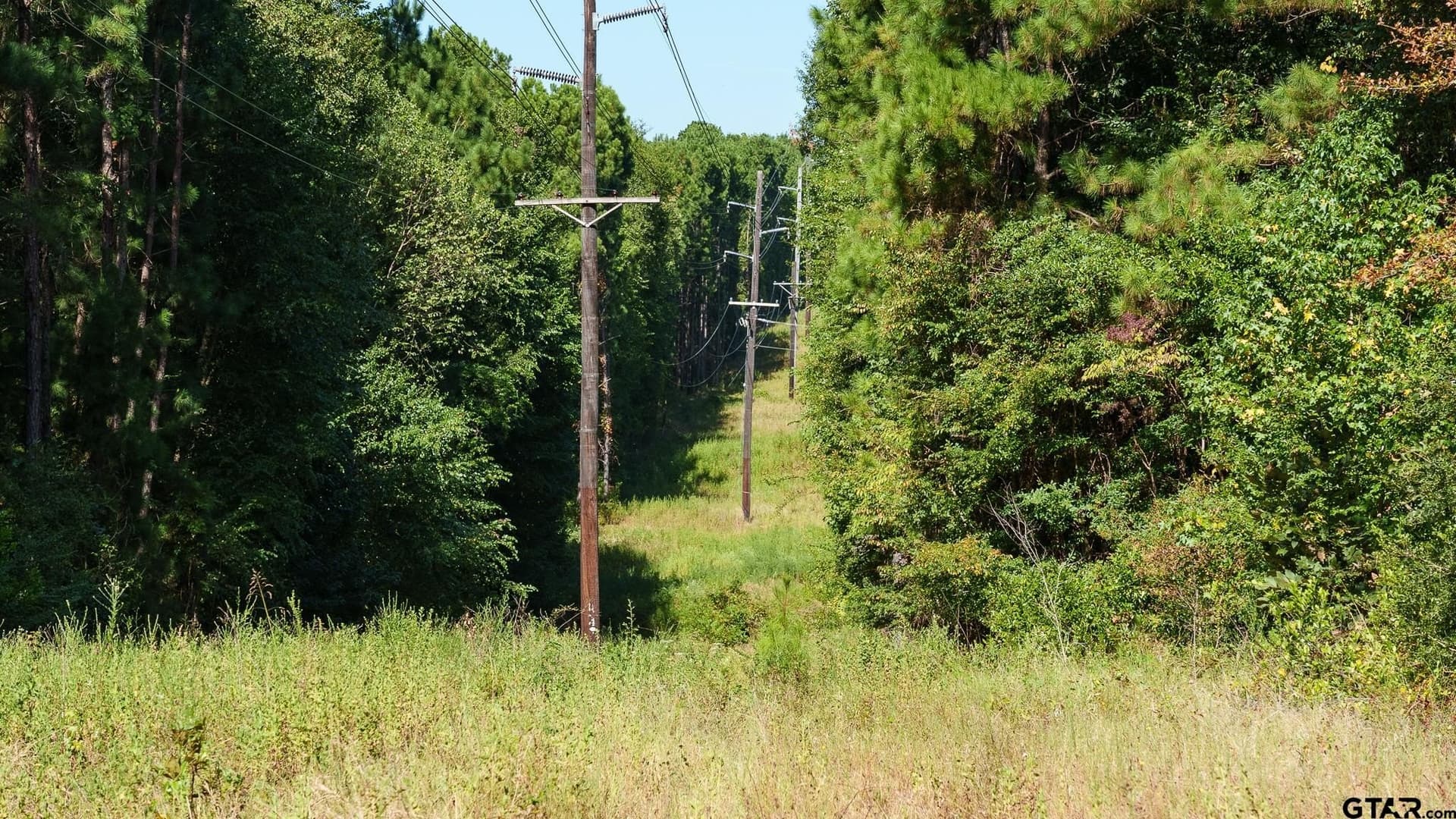 105 acres in Rusk County - photo 12