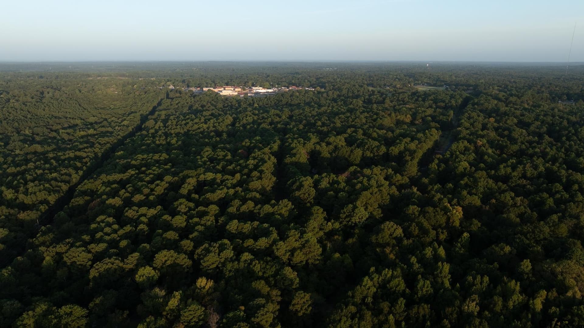 105 acres in Rusk County - photo 3