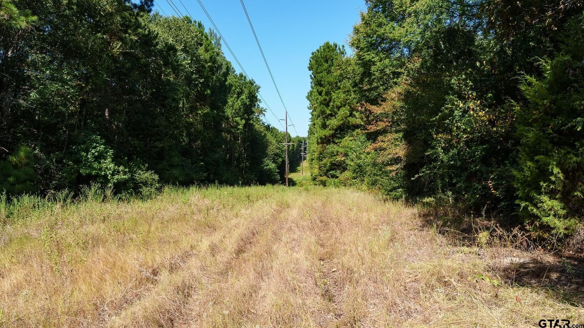105 acres in Rusk County - photo 11
