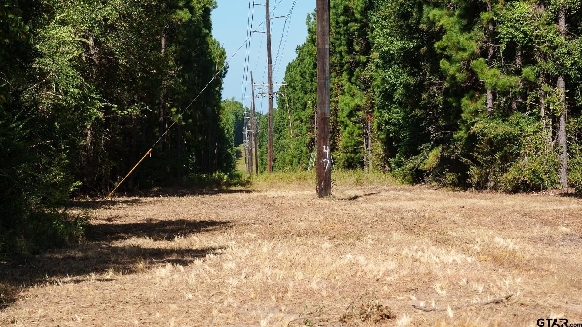 105 acres in Rusk County - photo 8