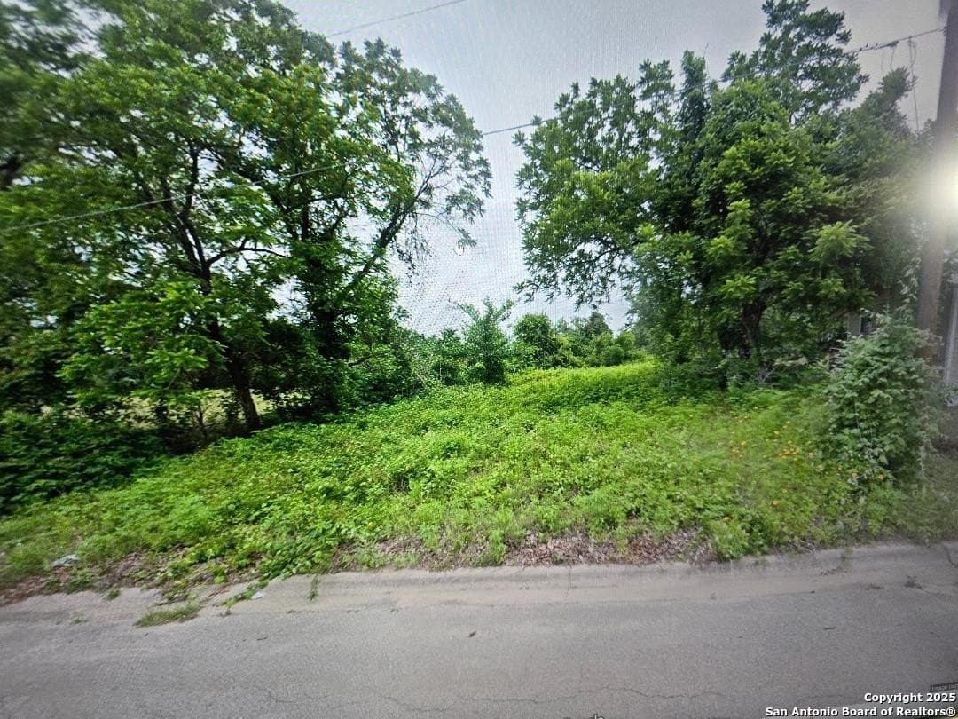 0.13 acres in Milam County gallery image 2