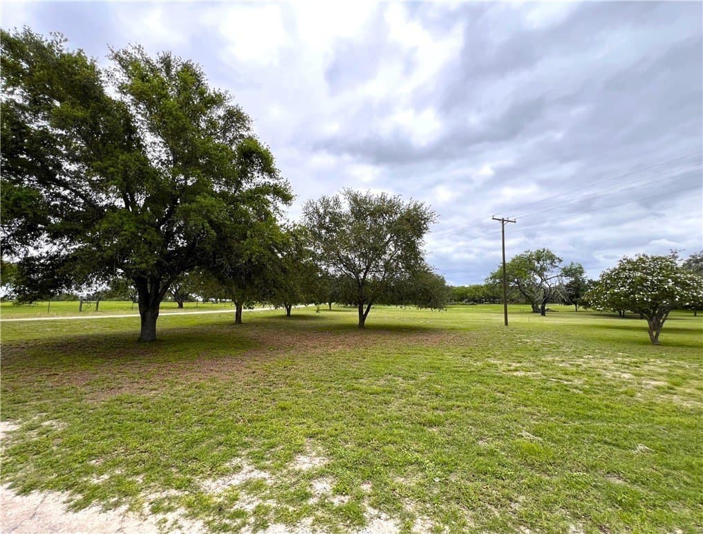 10 acres in Live Oak County - photo 34