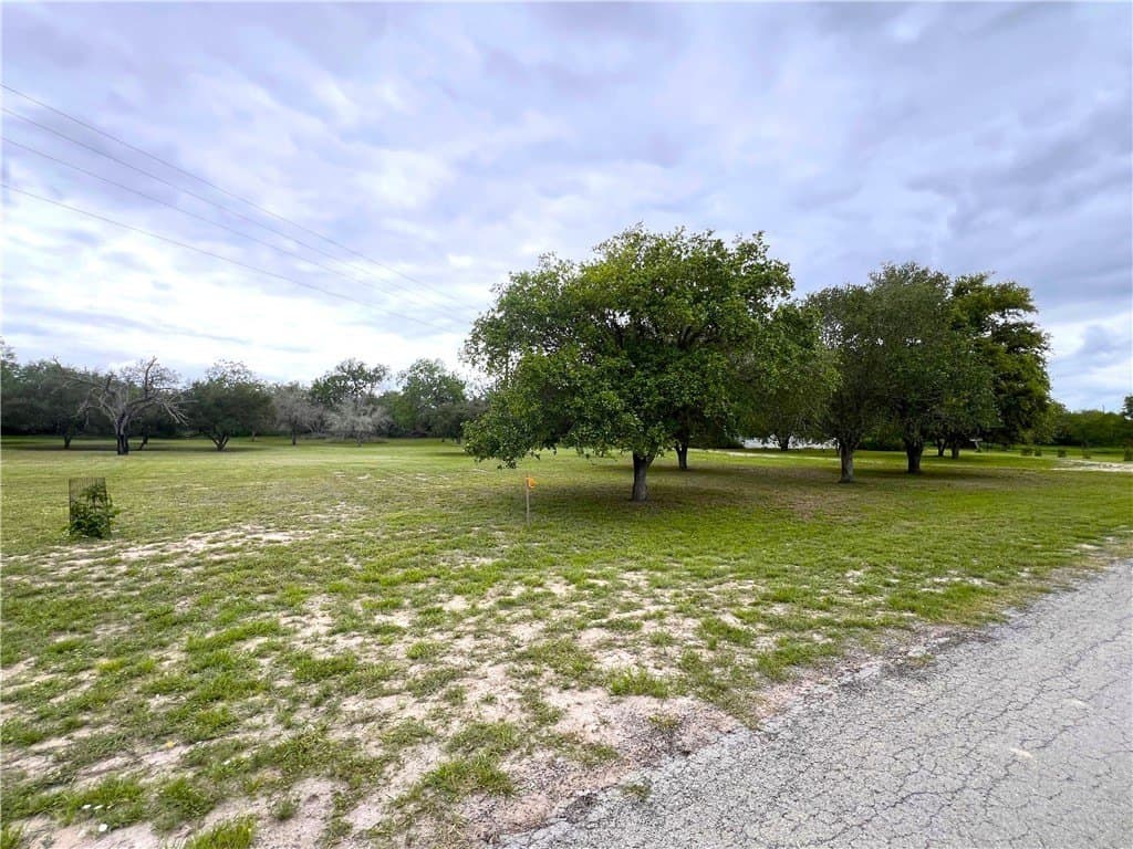 10 acres in Live Oak County - photo 38