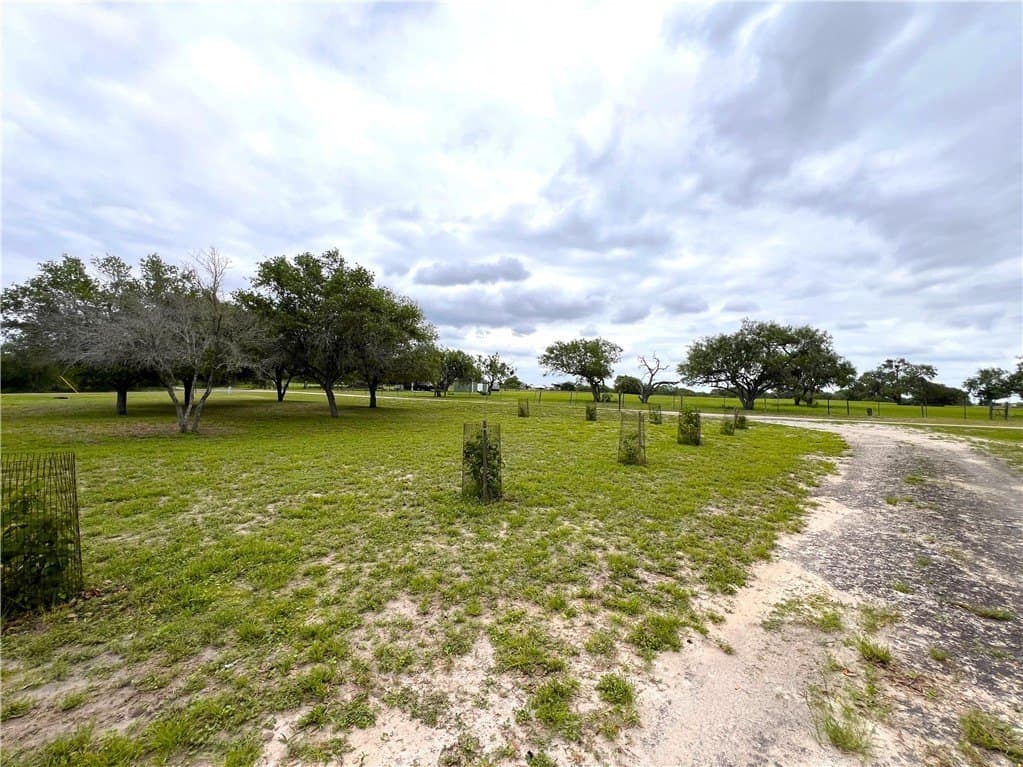 10 acres in Live Oak County - photo 33