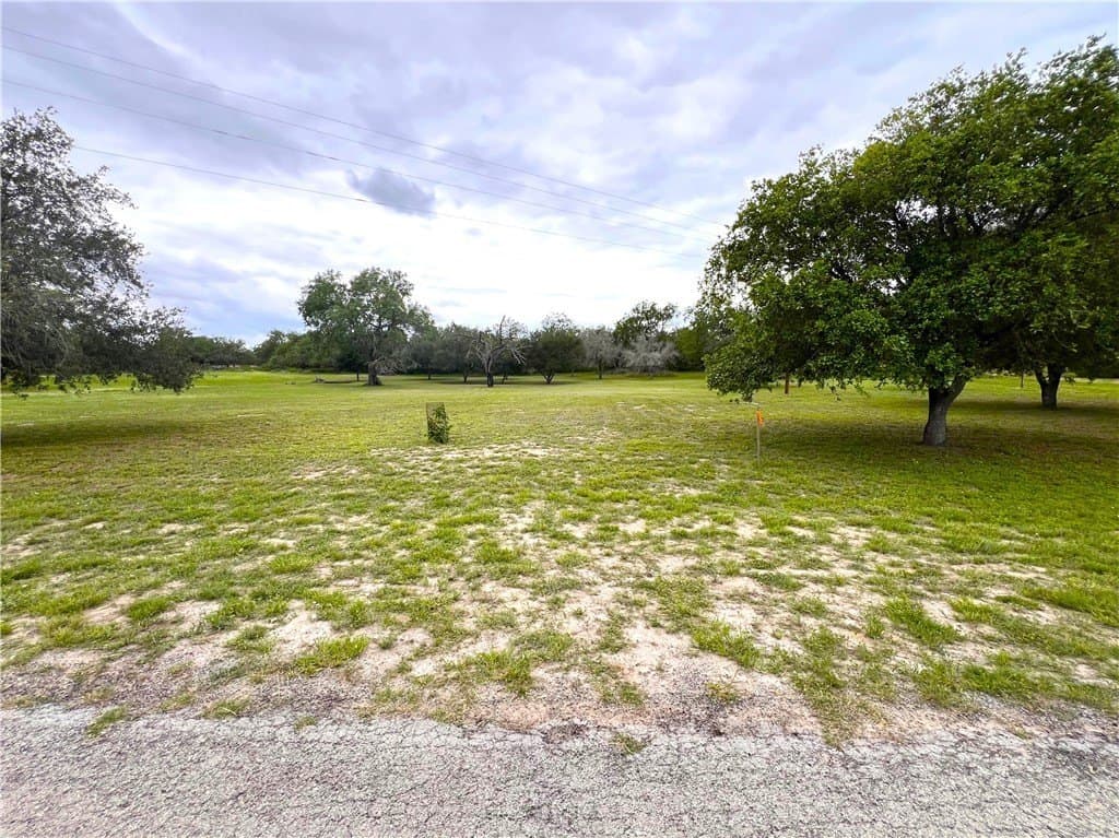 10 acres in Live Oak County - photo 37