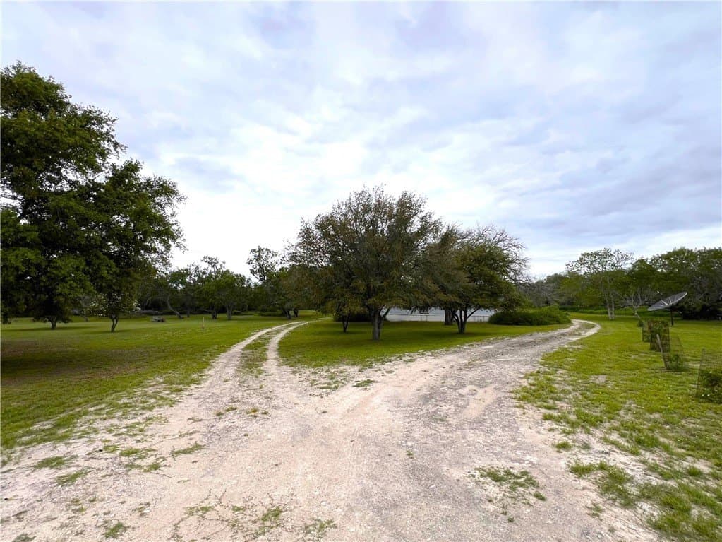 10 acres in Live Oak County - photo 36
