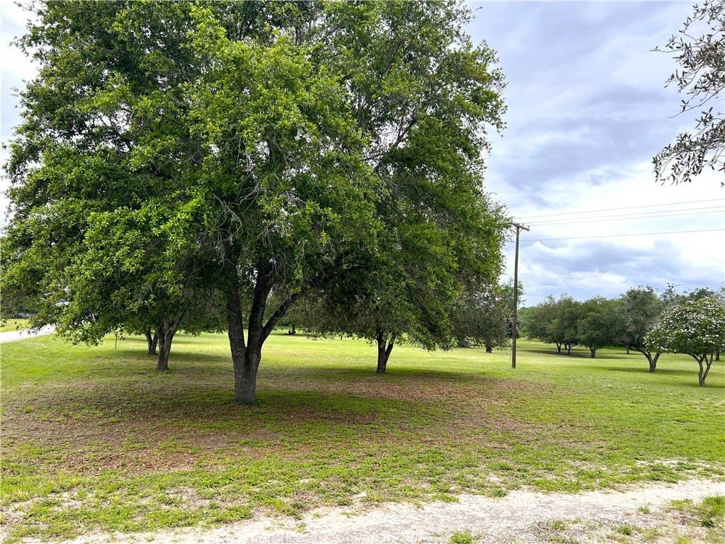 10 acres in Live Oak County - photo 35