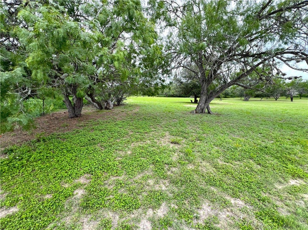10 acres in Live Oak County featured view