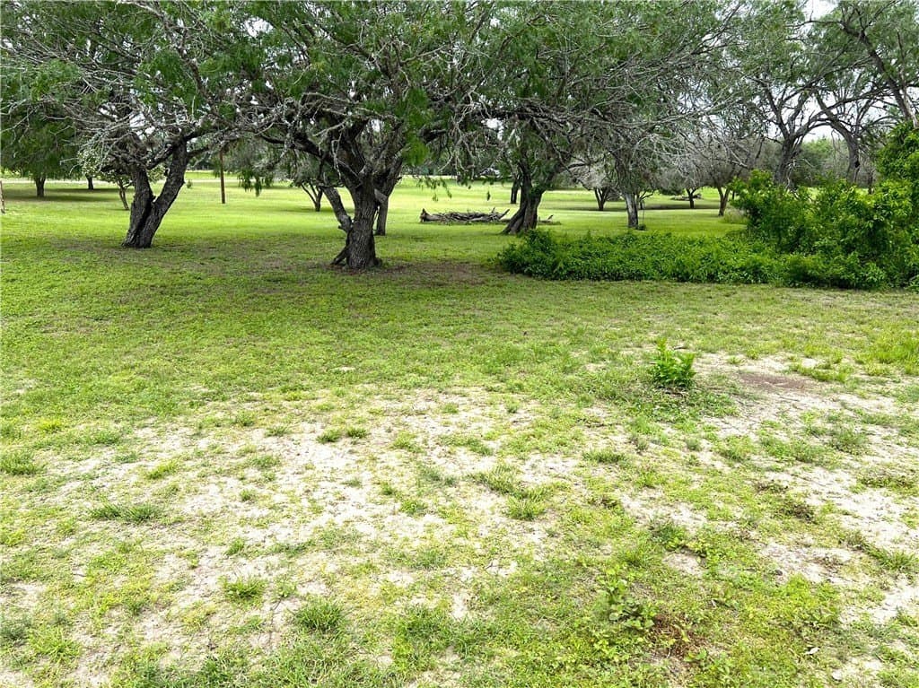 10 acres in Live Oak County - photo 11
