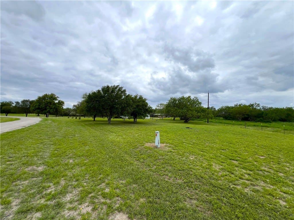 10 acres in Live Oak County gallery image 3
