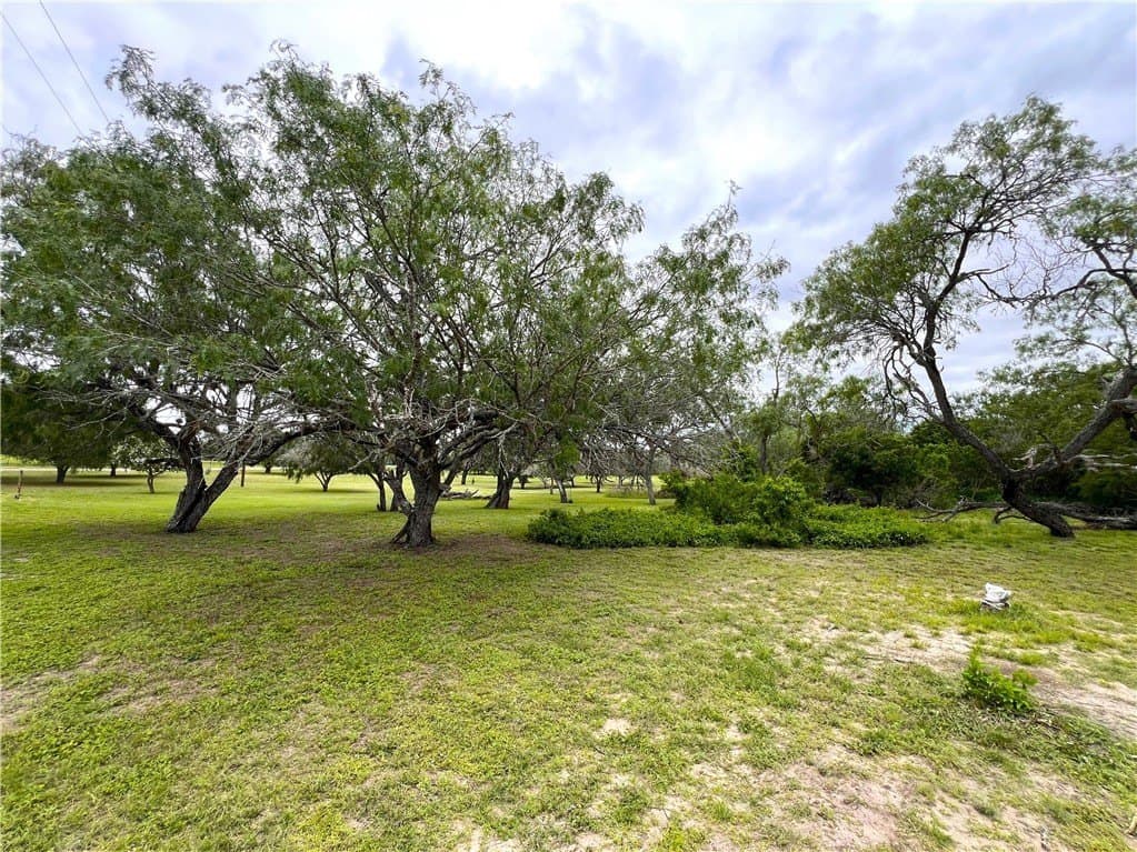 10 acres in Live Oak County - photo 30