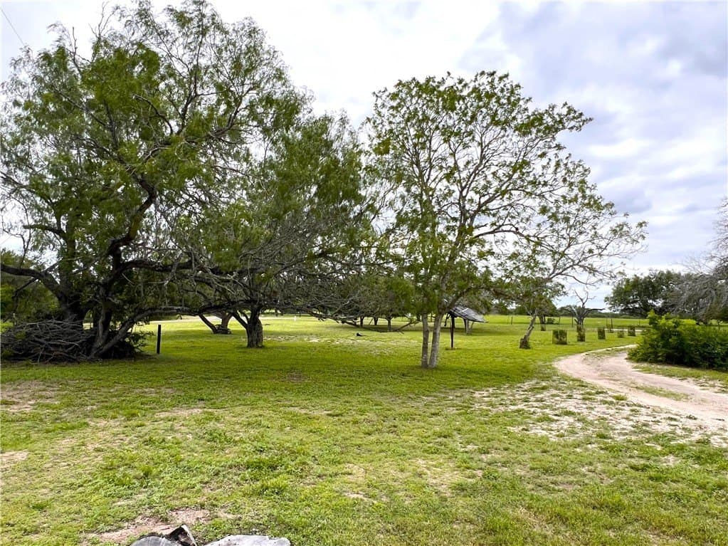 10 acres in Live Oak County - photo 32