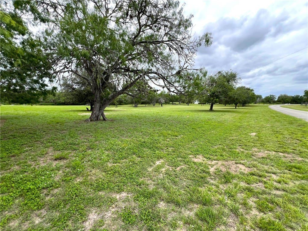 10 acres in Live Oak County - photo 6