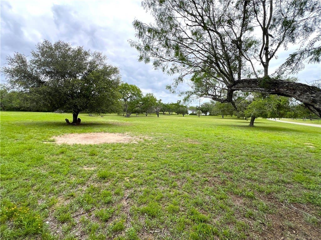10 acres in Live Oak County - photo 7
