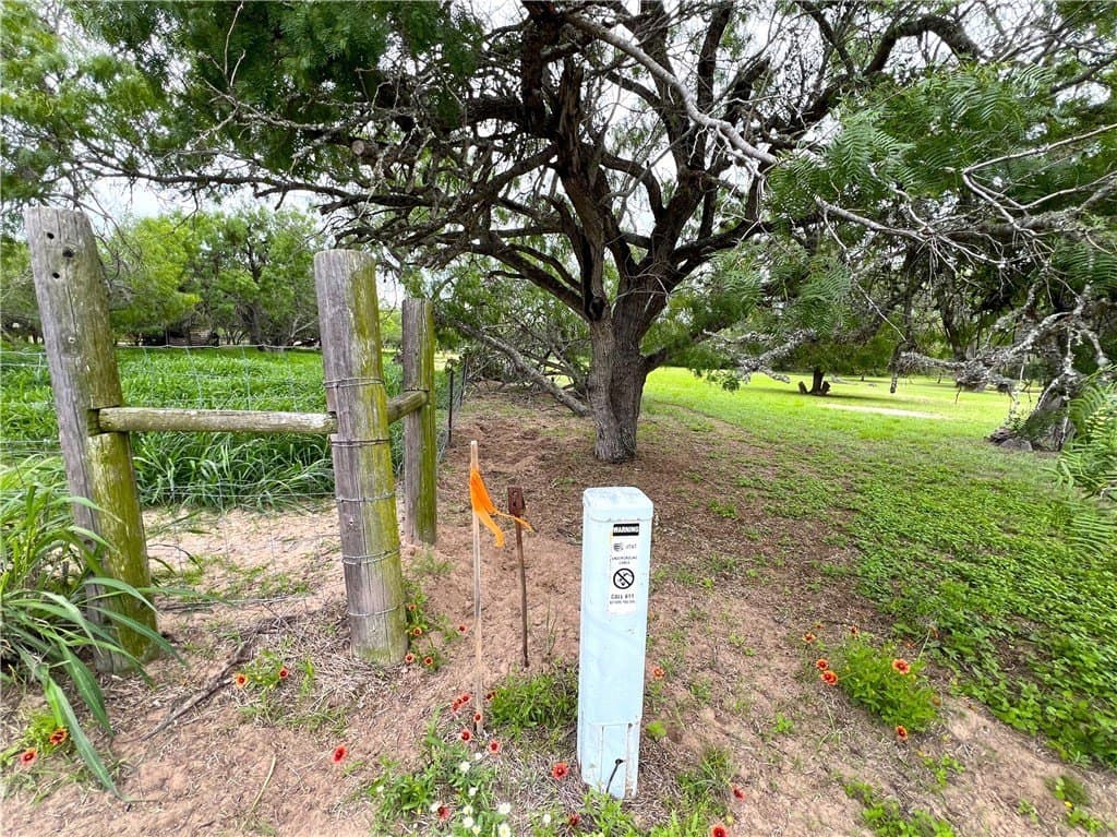 10 acres in Live Oak County gallery image 4