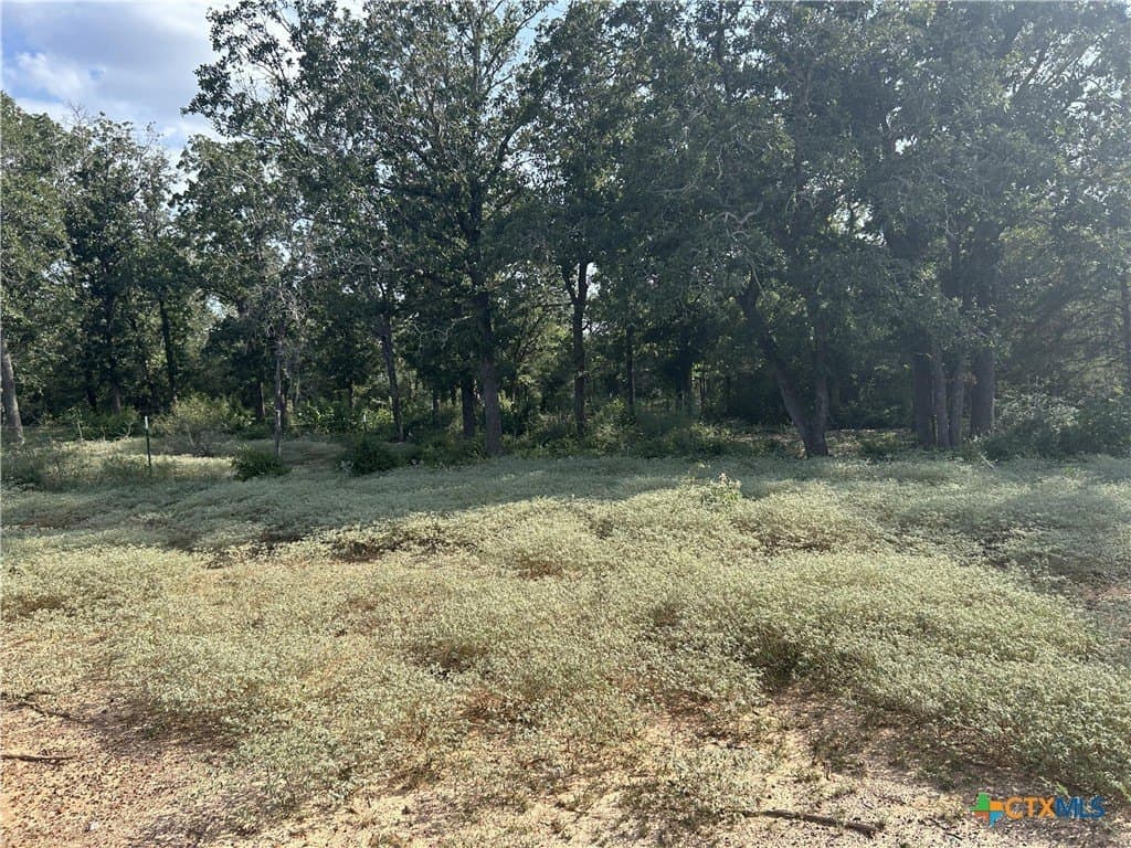 2.5 acres in Gonzales County - photo 5