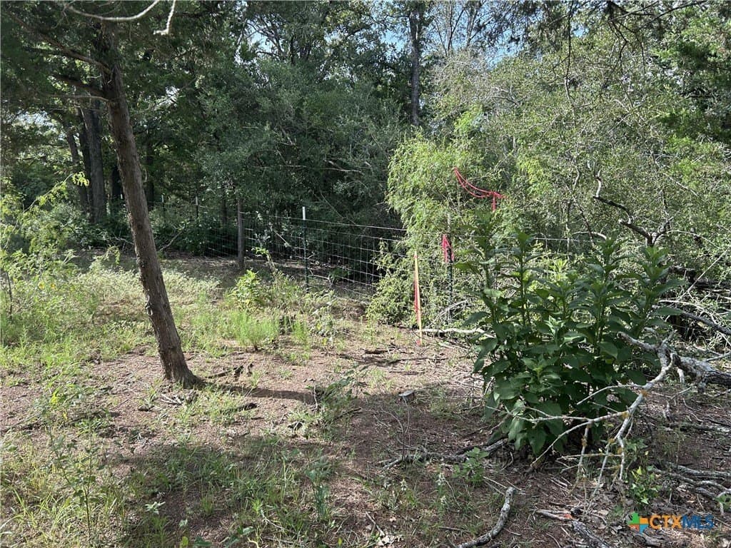 2.5 acres in Gonzales County - photo 7