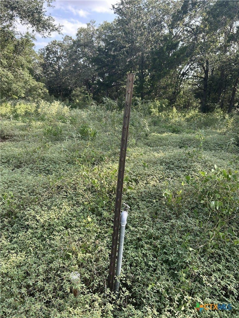 2.5 acres in Gonzales County - photo 4