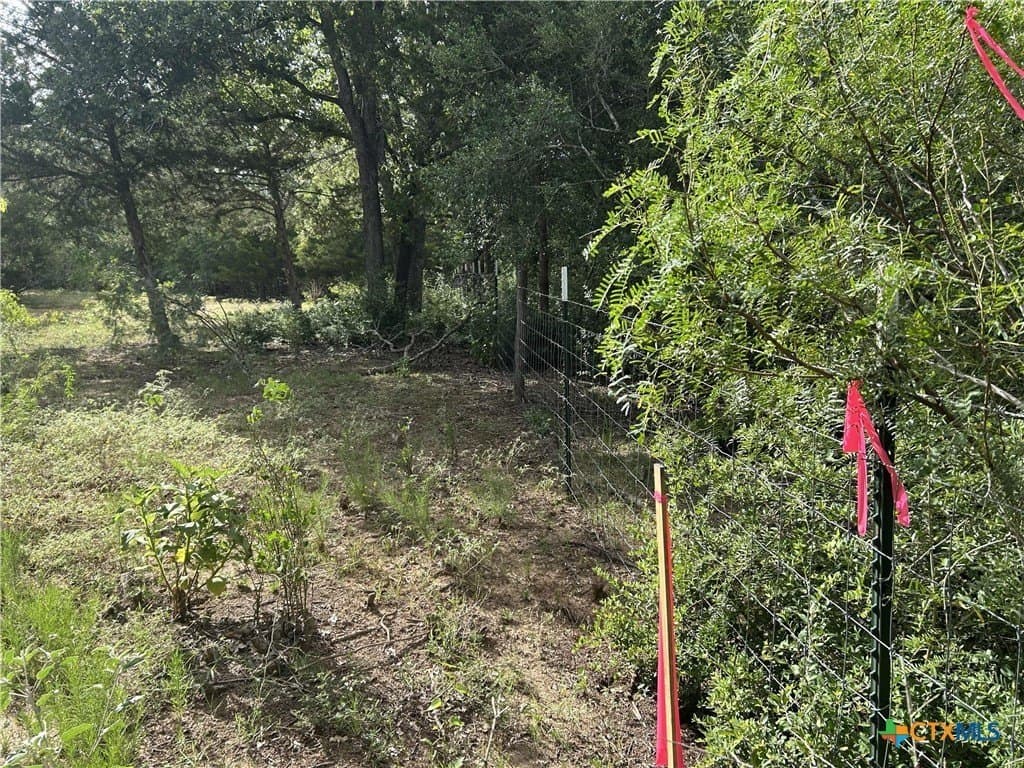 2.5 acres in Gonzales County - photo 6