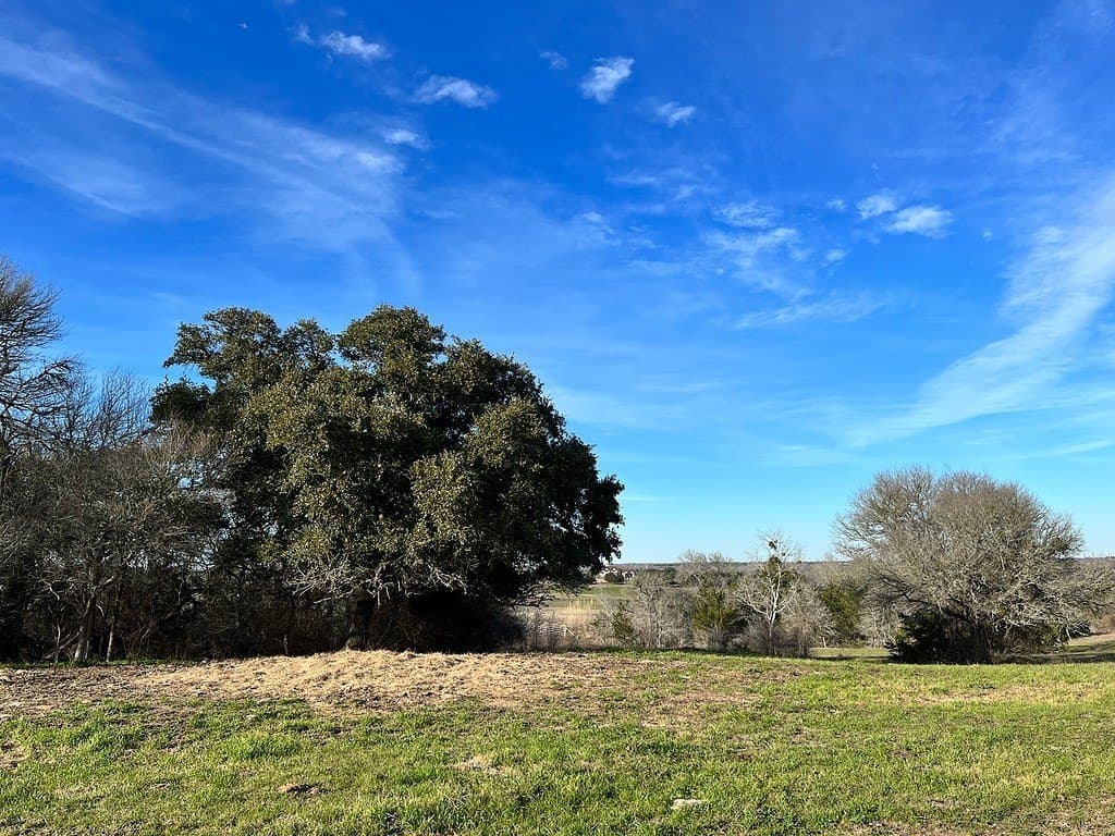 30.39 acres in Washington County gallery image 3