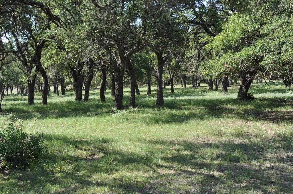 157 acres in Kimble County