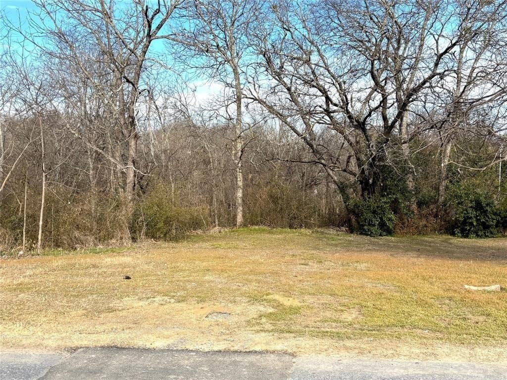 0.65 acres in Ellis County gallery image 4