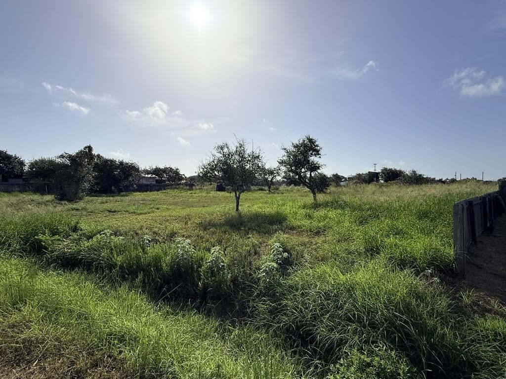0.52 acres in Texas County - photo 2