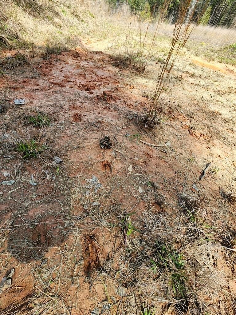 22.8 acres in Texas County - photo 11
