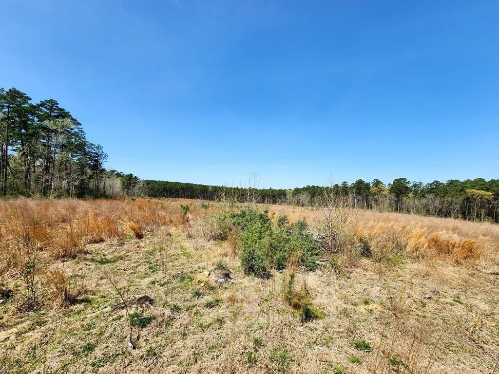 22.8 acres in Texas County - photo 14