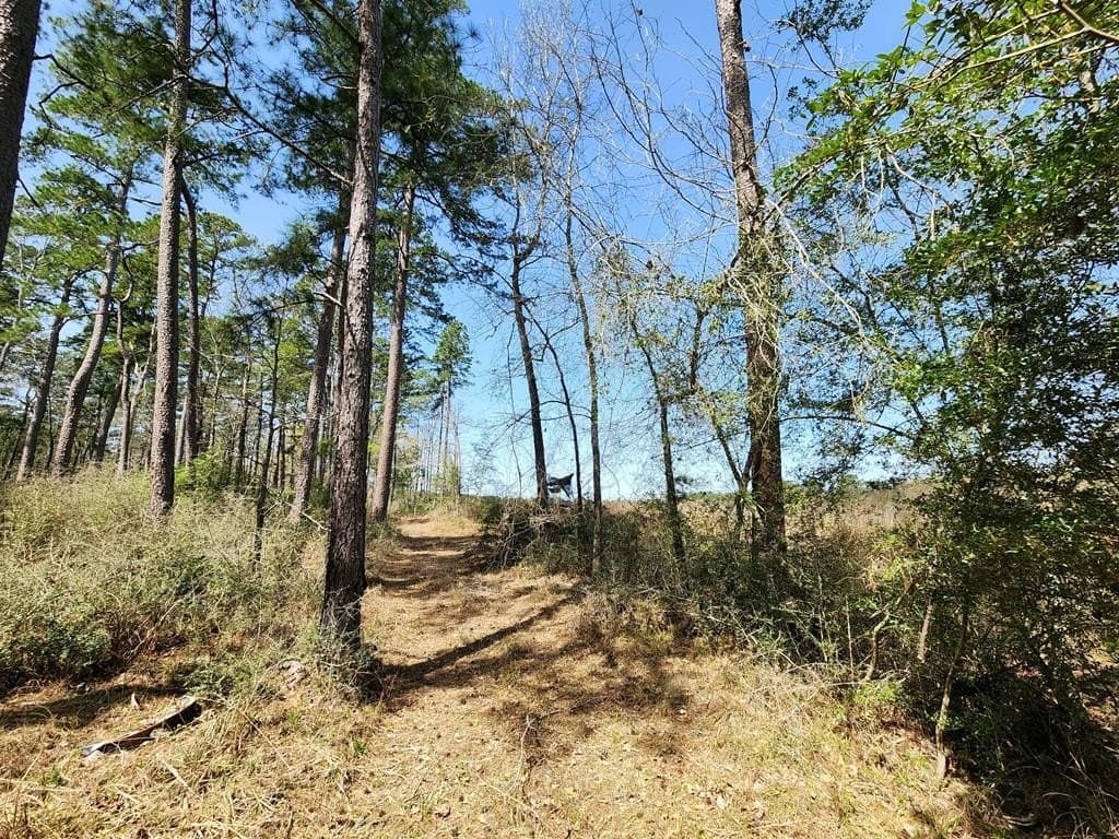 22.8 acres in Texas County - photo 10