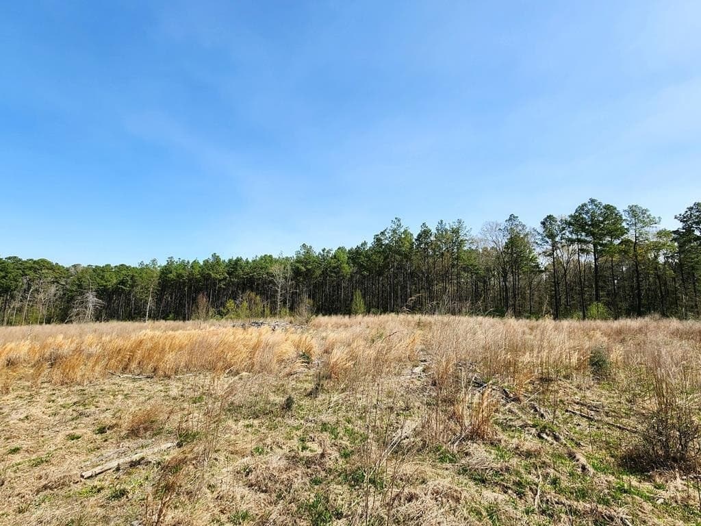 22.8 acres in Texas County - photo 12