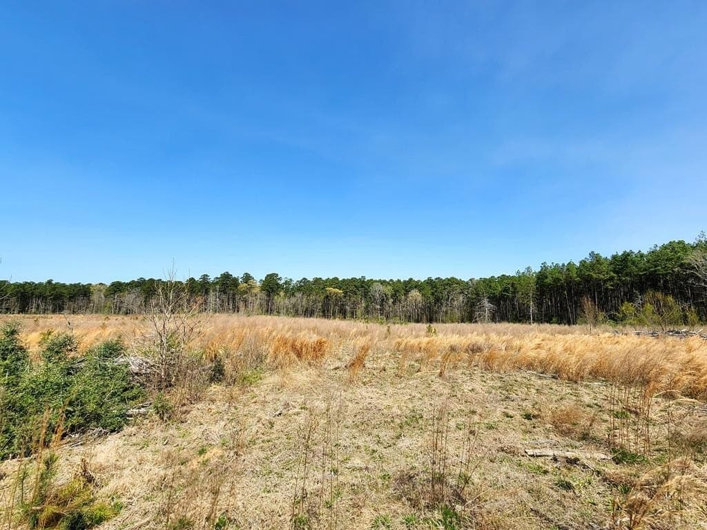22.8 acres in Texas County - photo 13