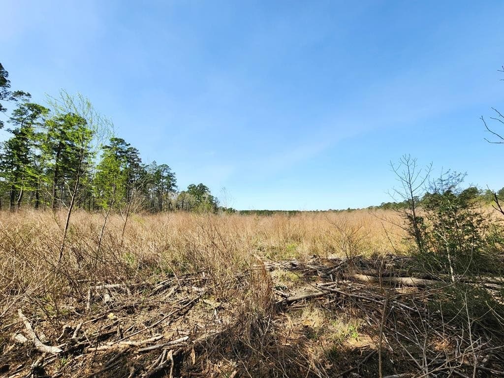 22.8 acres in Texas County - photo 8