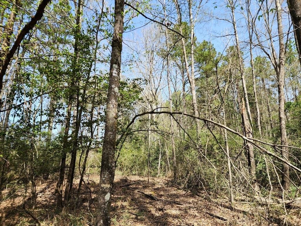 22.8 acres in Texas County - photo 7