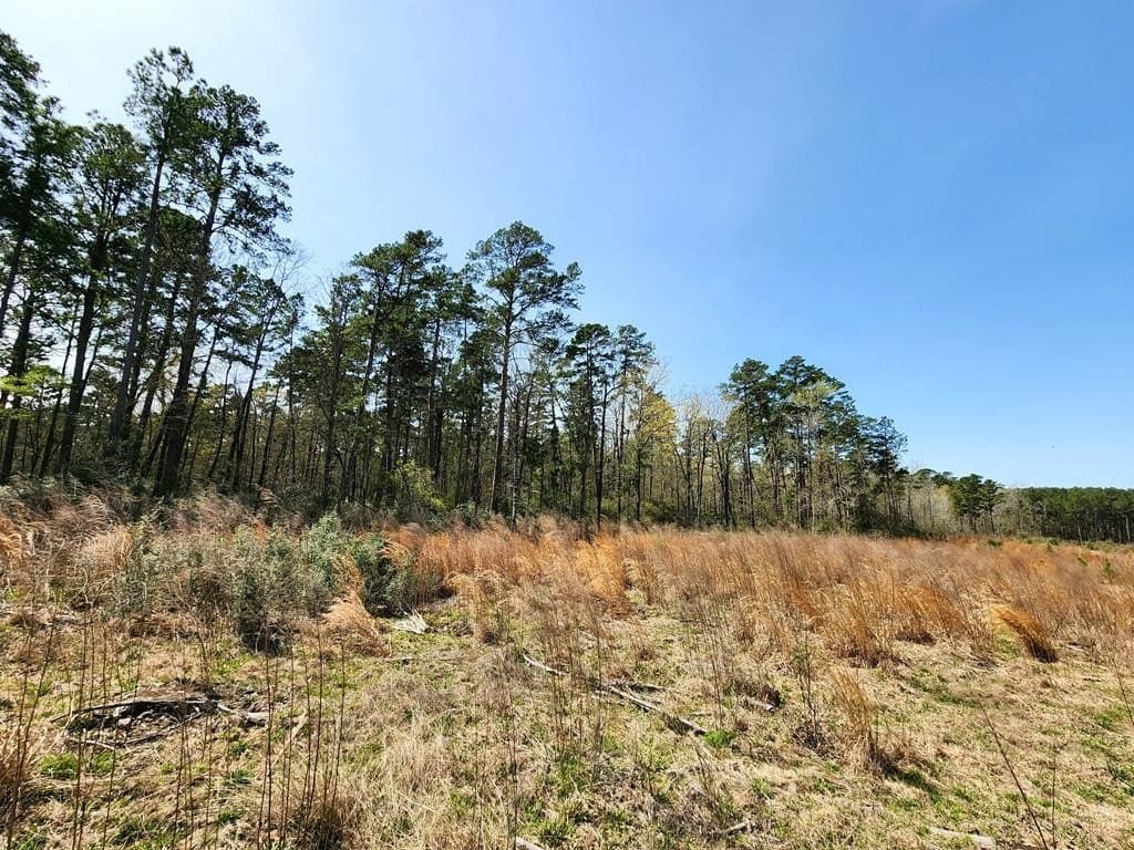 22.8 acres in Texas County - photo 15