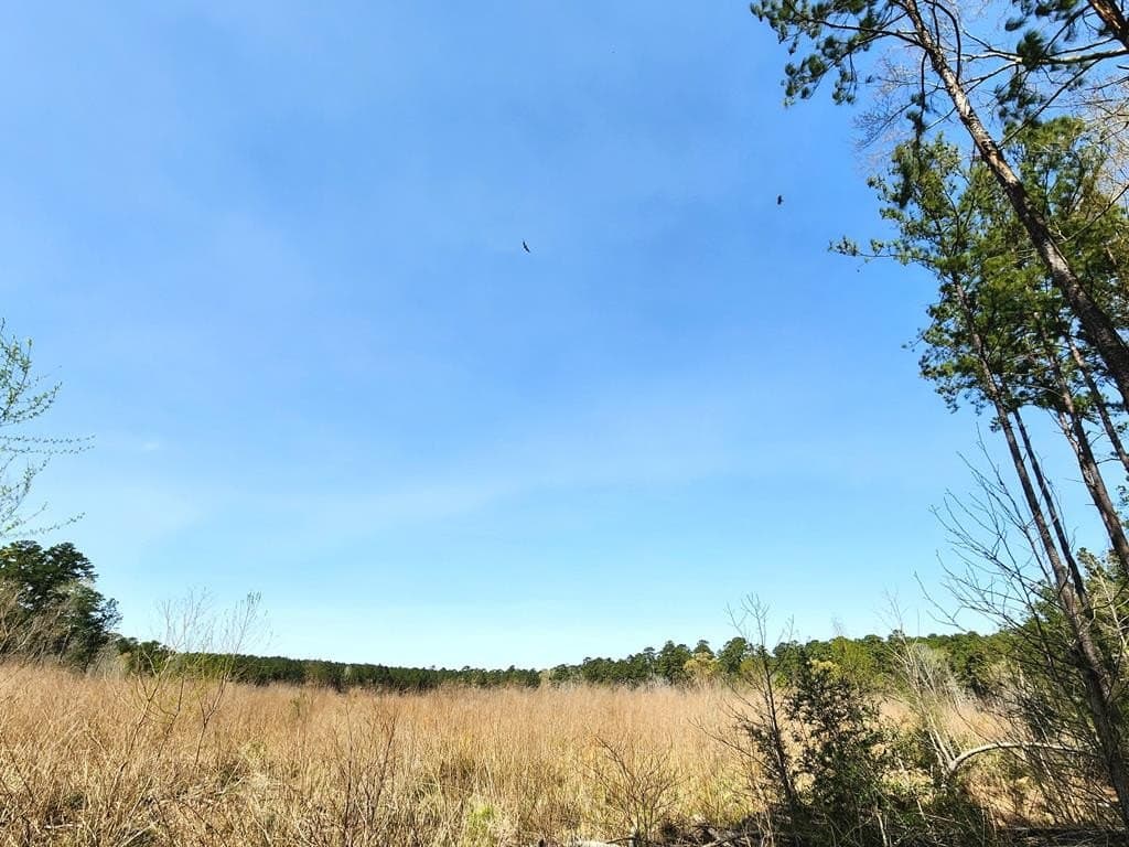 22.8 acres in Texas County - photo 9