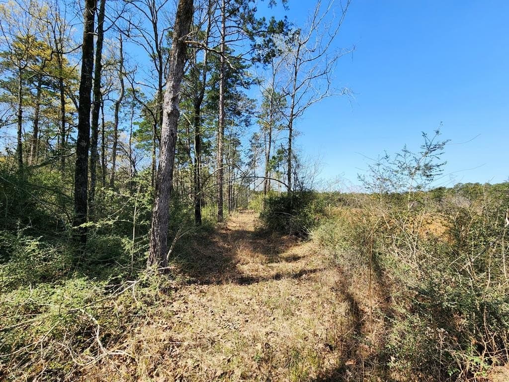 22.8 acres in Texas County - photo 17