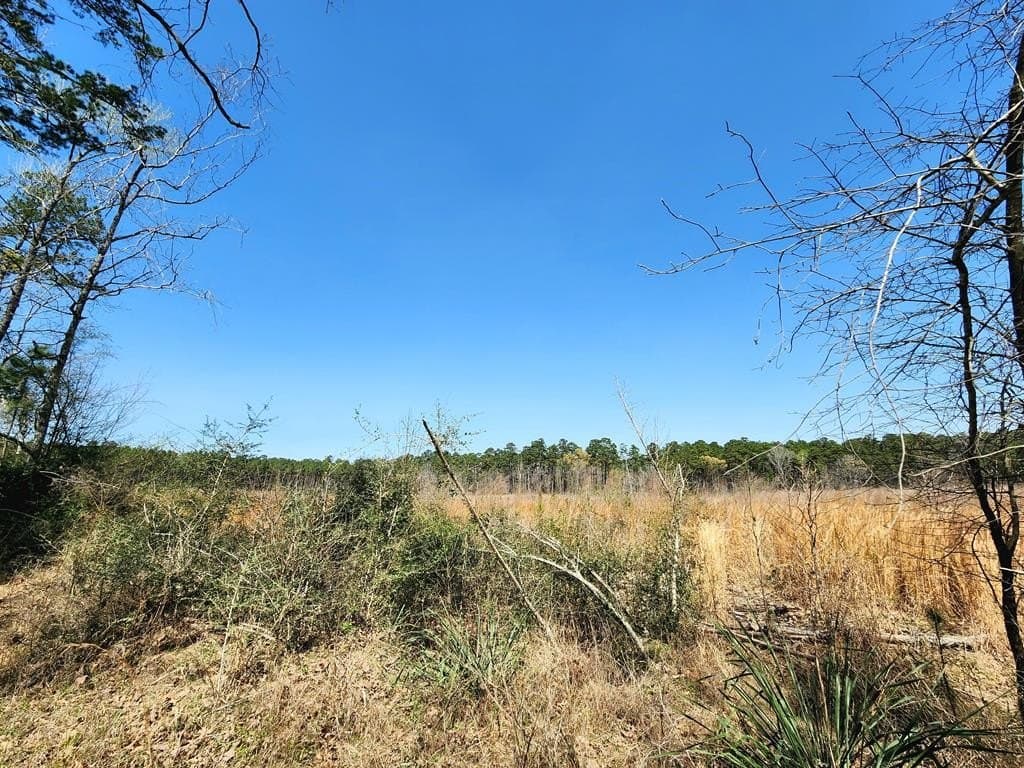 22.8 acres in Texas County - photo 16