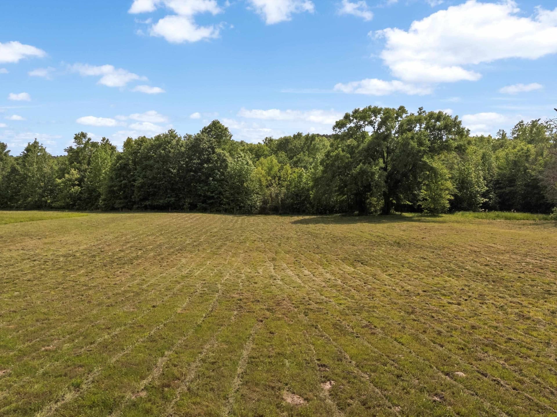 67 acres in Upshur County gallery image 2