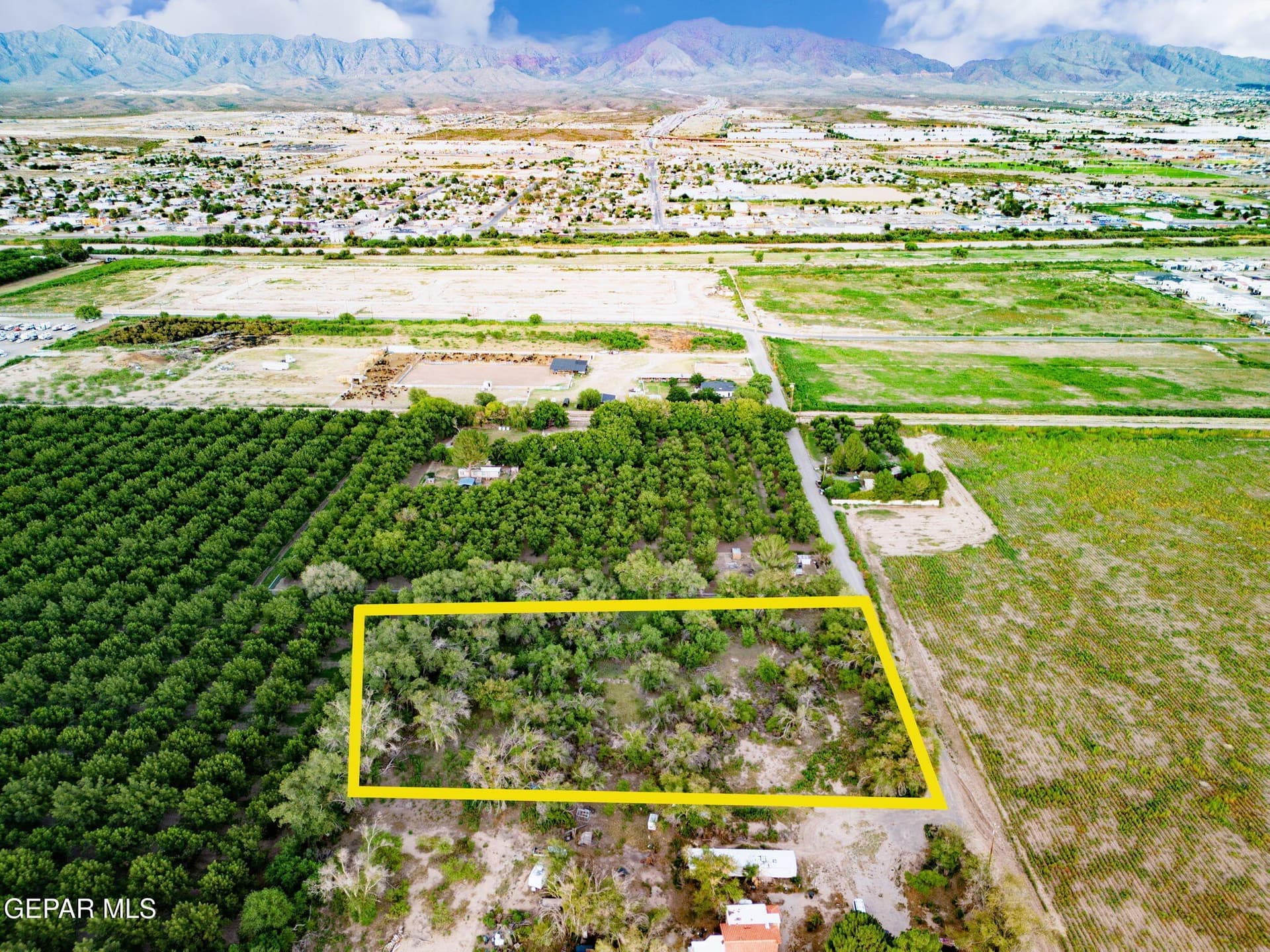 2.4 acres in El Paso County - photo 10