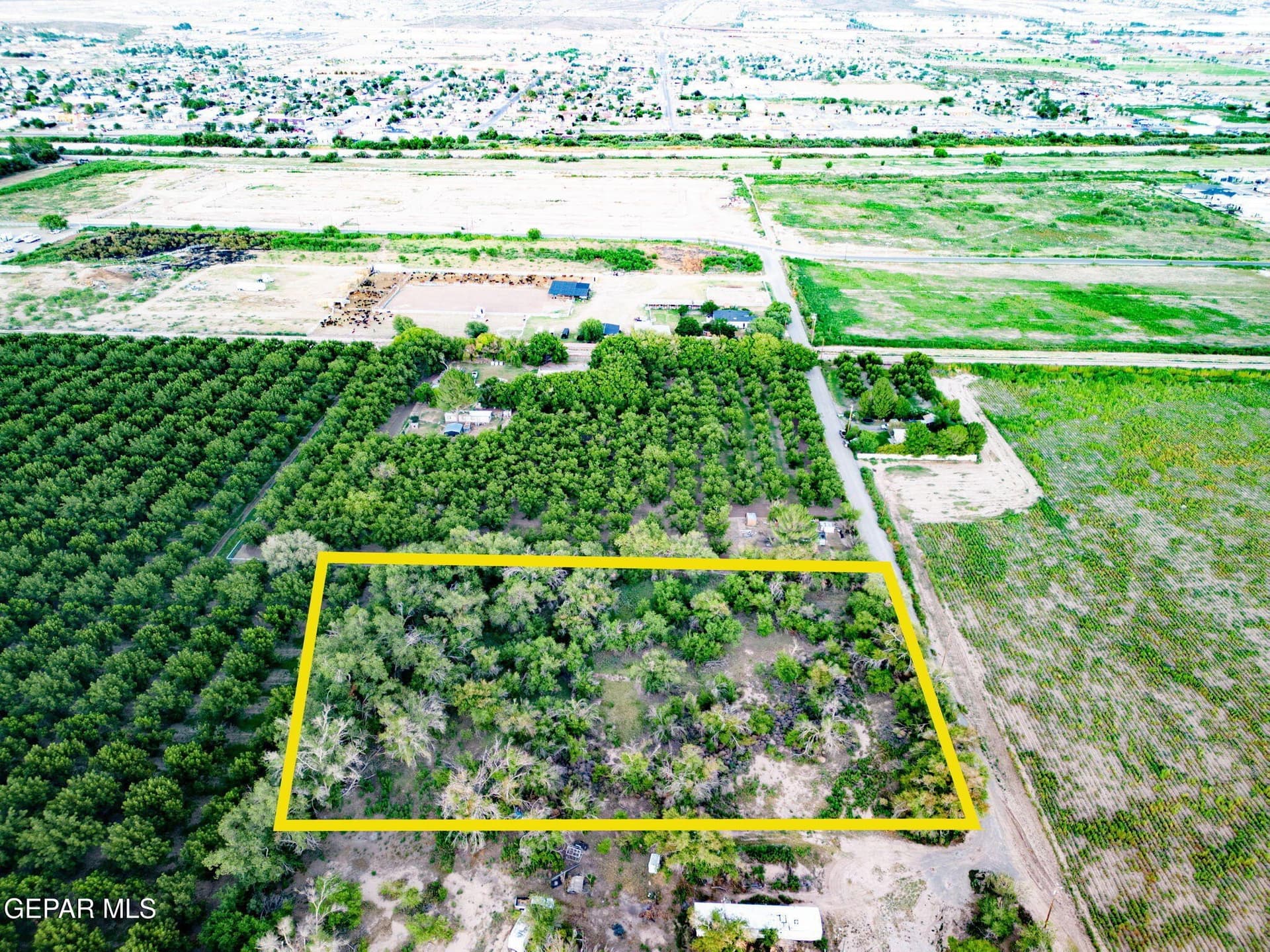 2.4 acres in El Paso County - photo 9