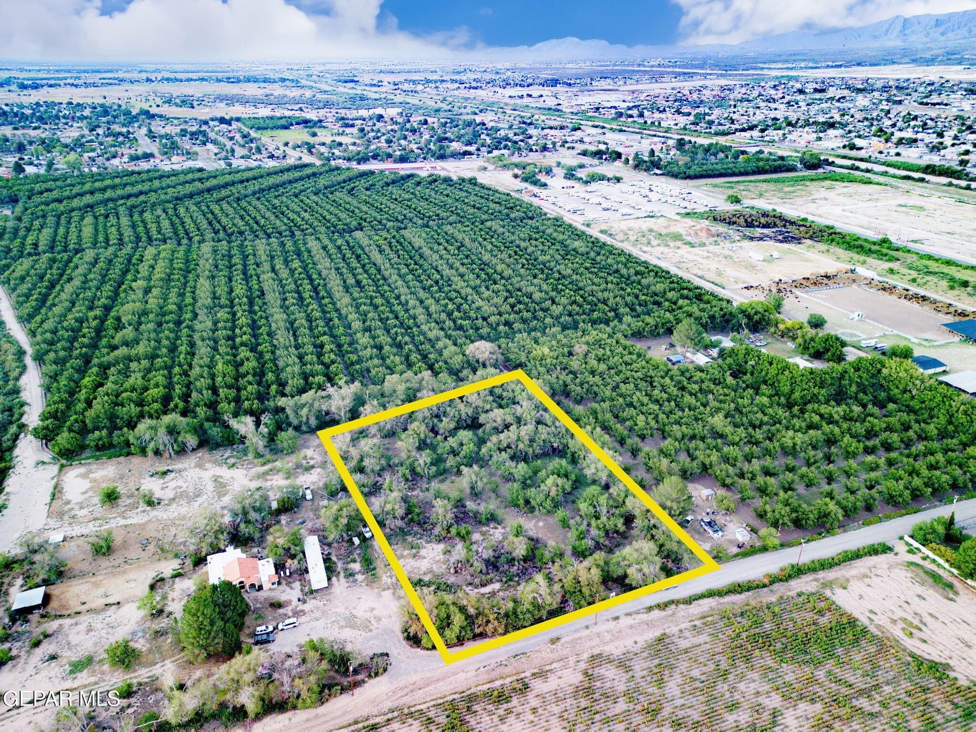 2.4 acres in El Paso County - photo 12