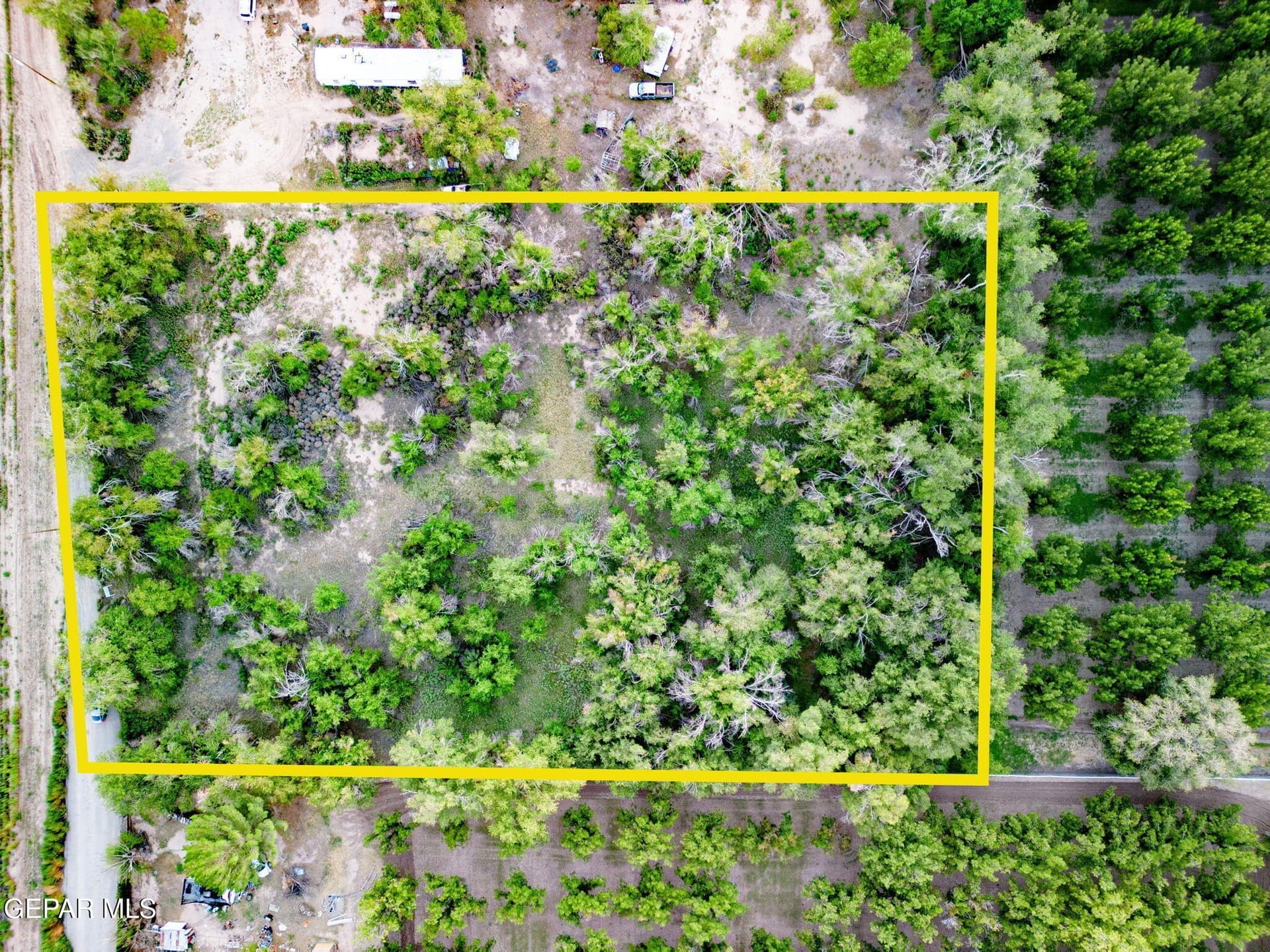 2.4 acres in El Paso County - photo 6