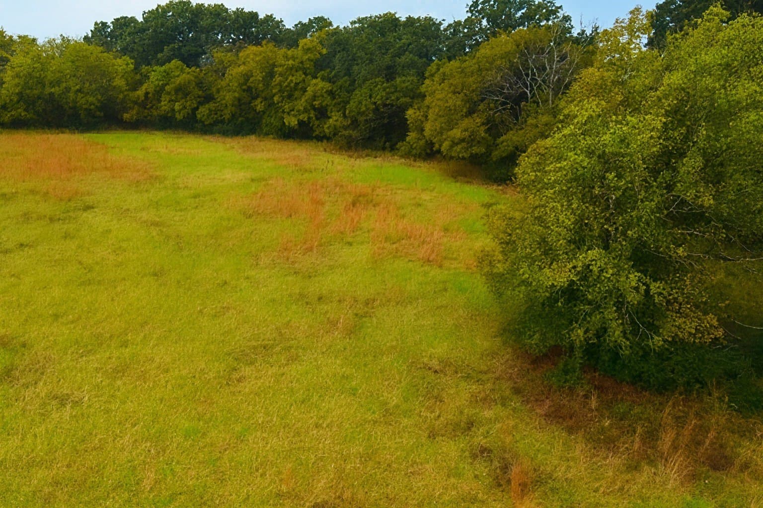 20.83 acres in Van Zandt County gallery image 4
