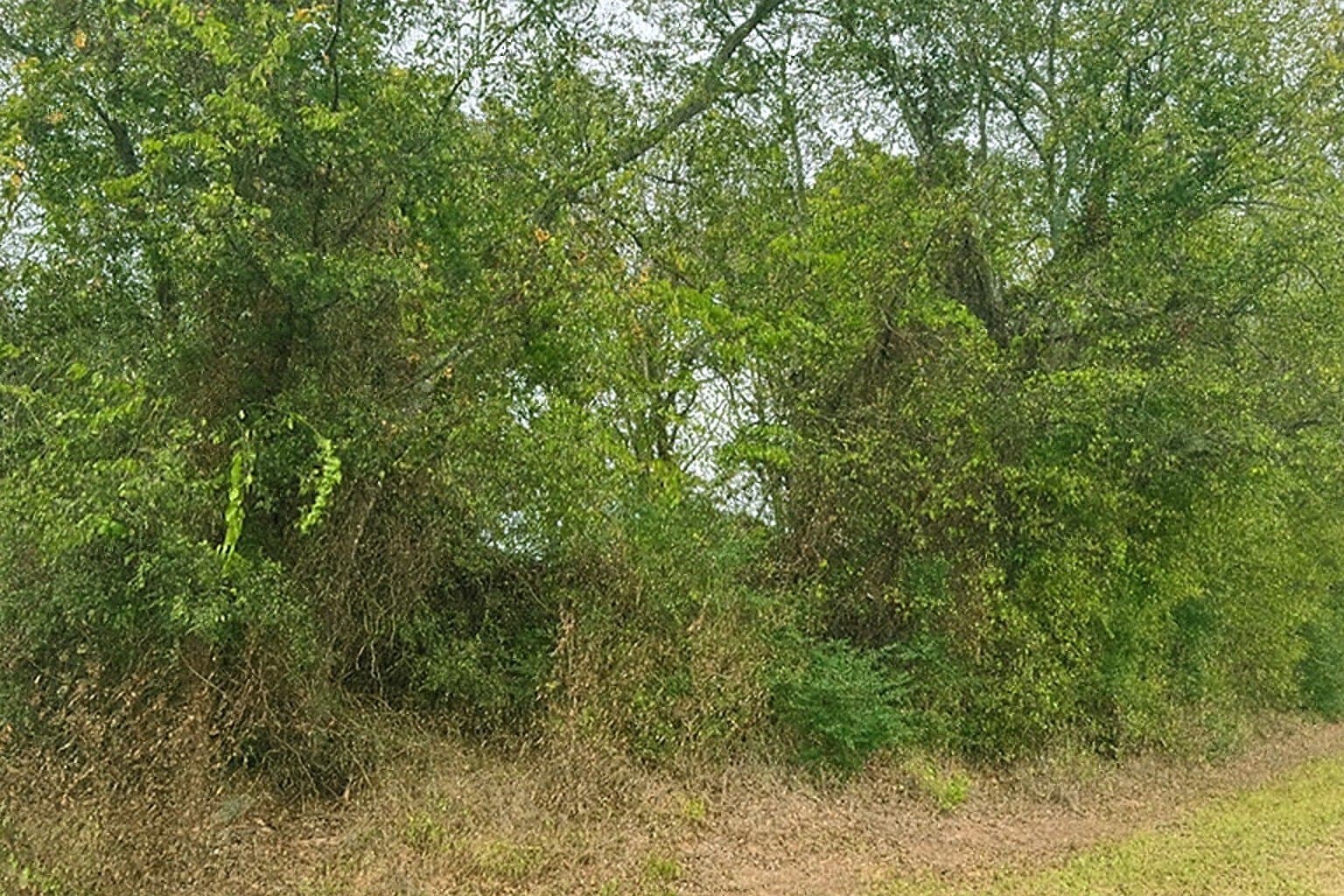 20.83 acres in Van Zandt County - photo 6