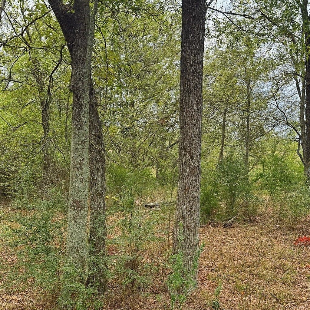 20.83 acres in Van Zandt County gallery image 3