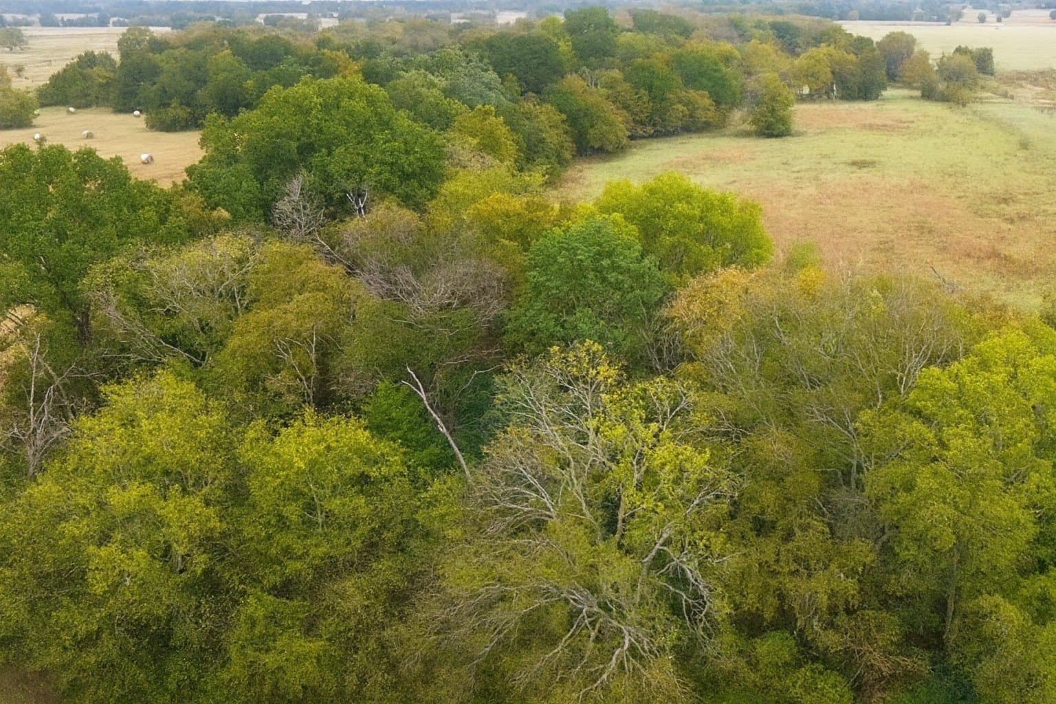 20.83 acres in Van Zandt County - photo 7