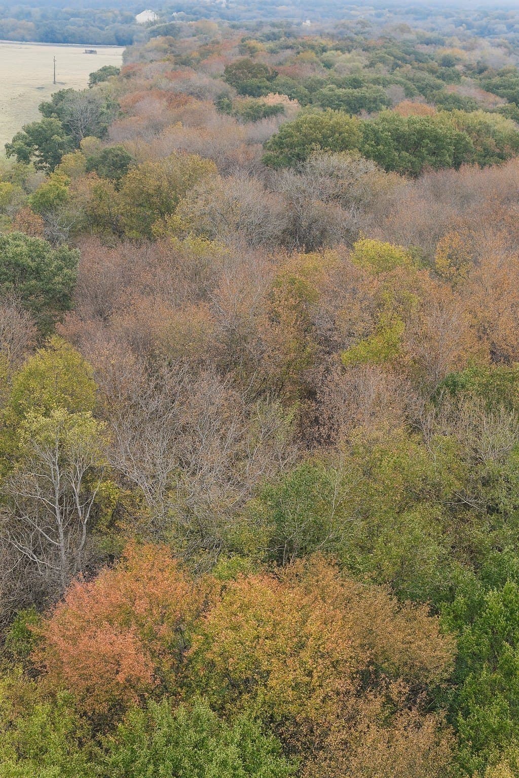 20.83 acres in Van Zandt County - photo 8