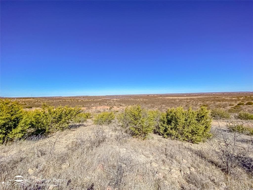 20 acres in Taylor County featured view