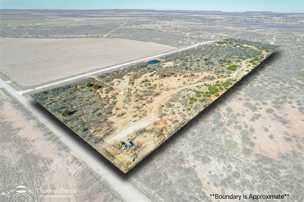 20 acres in Taylor County gallery image 3